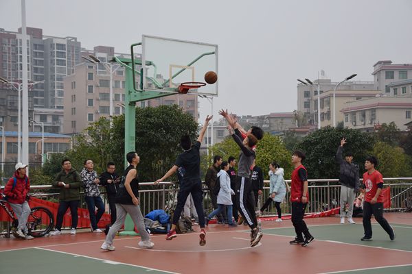 bv伟德国际体育官方网站