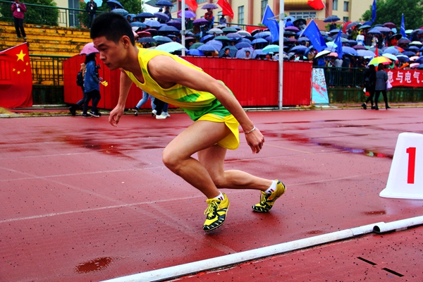 bv伟德国际体育官方网站