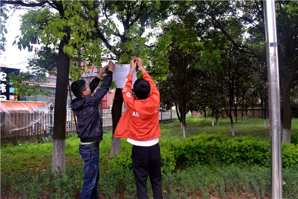 bv伟德国际体育官方网站