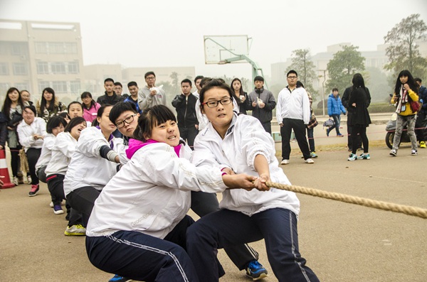 bv伟德国际体育官方网站