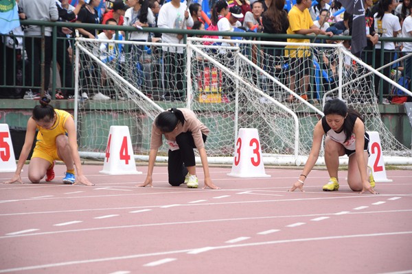 bv伟德国际体育官方网站