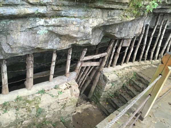 bv伟德国际体育官方网站