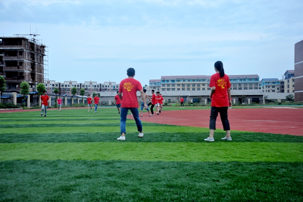 bv伟德国际体育官方网站