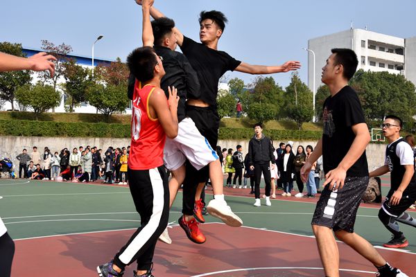 bv伟德国际体育官方网站