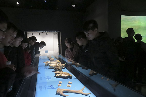 bv伟德国际体育官方网站