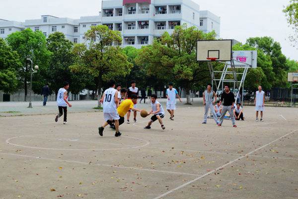 bv伟德国际体育官方网站