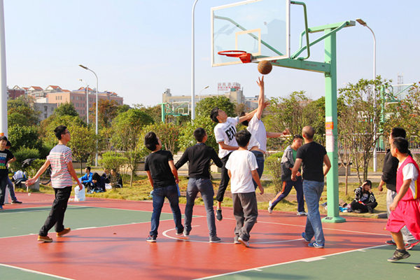 bv伟德国际体育官方网站