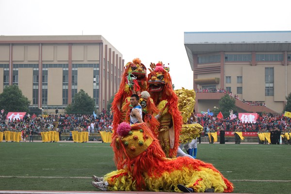 bv伟德国际体育官方网站