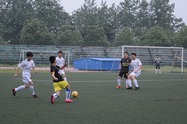 bv伟德国际体育官方网站