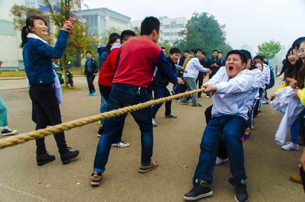 bv伟德国际体育官方网站