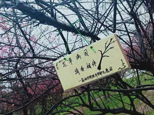 bv伟德国际体育官方网站