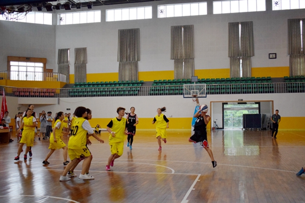 bv伟德国际体育官方网站