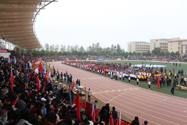 bv伟德国际体育官方网站