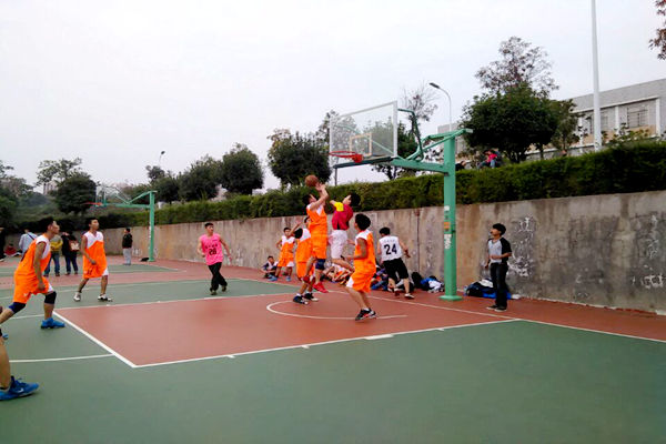 bv伟德国际体育官方网站