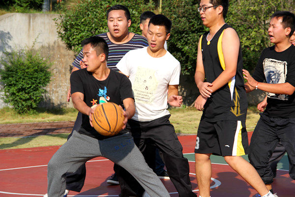 bv伟德国际体育官方网站