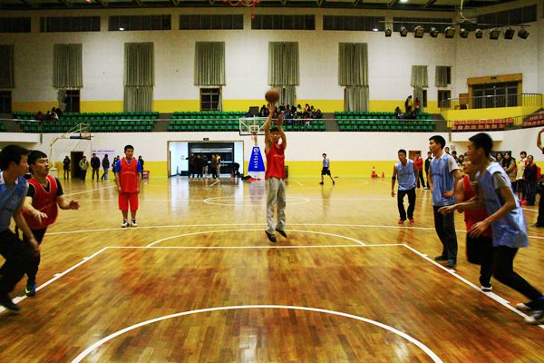 bv伟德国际体育官方网站