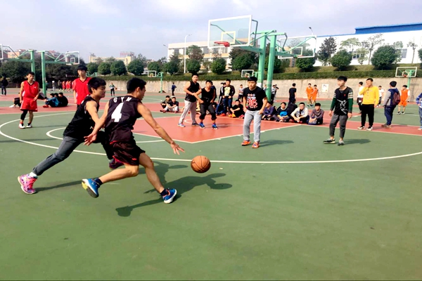 bv伟德国际体育官方网站