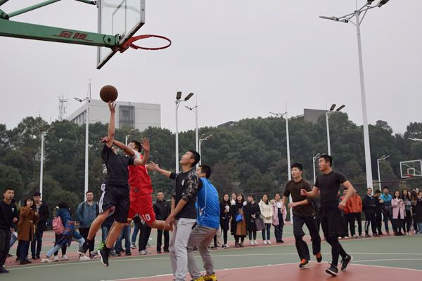 bv伟德国际体育官方网站