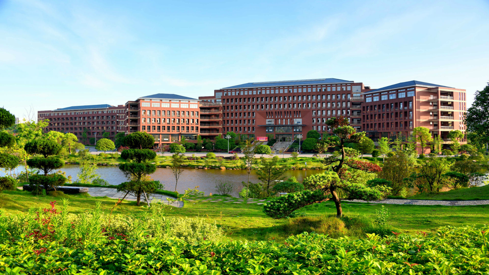 bv伟德国际体育官方网站