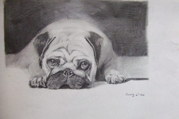 bv伟德国际体育官方网站