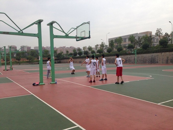 bv伟德国际体育官方网站