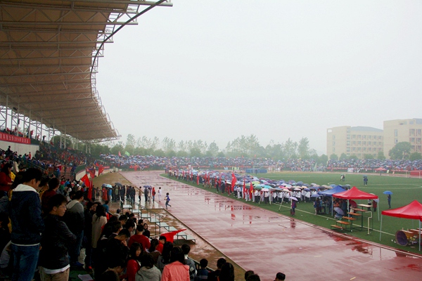 bv伟德国际体育官方网站