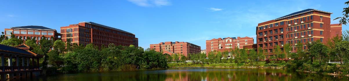 bv伟德国际体育官方网站